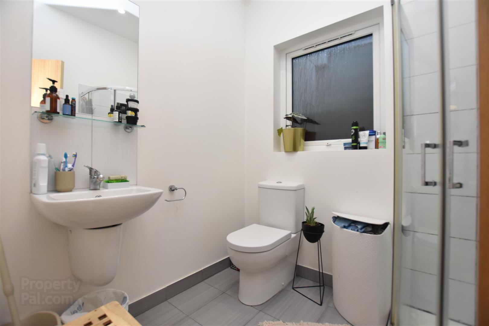 Apt 4, 104 Eglantine Avenue 6 of 6