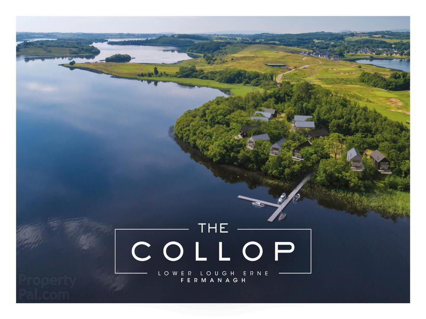 10 The Collop 10 of 41