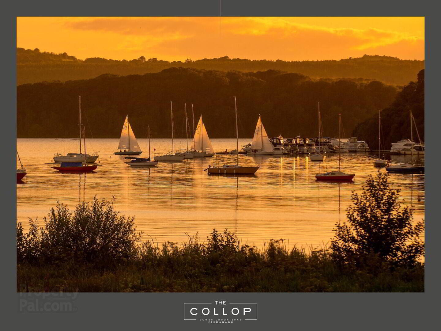 10 The Collop 36 of 41