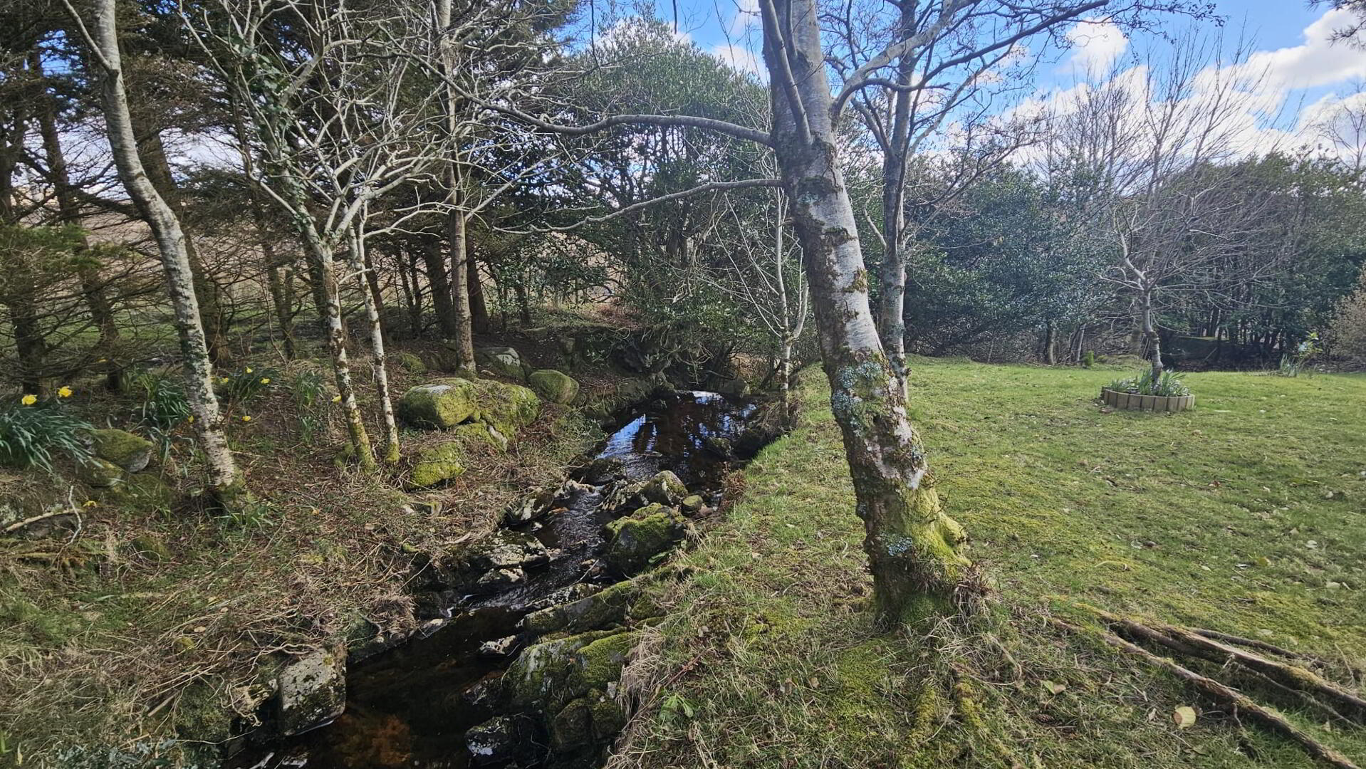 Cumeen 13 of 25