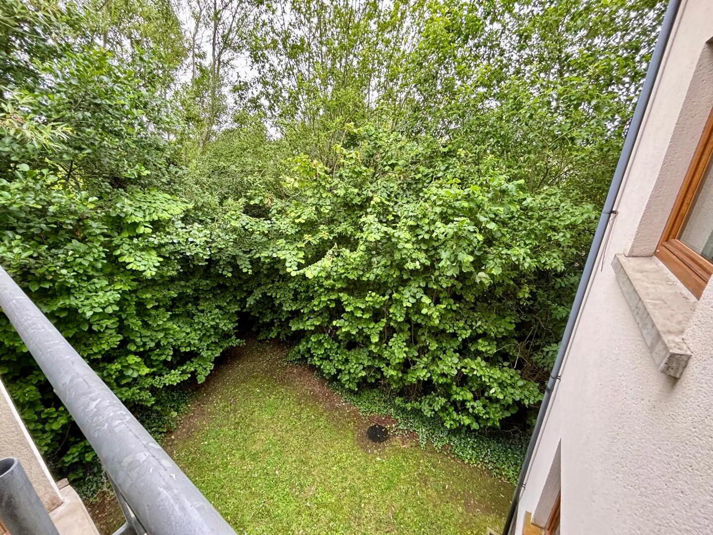 17 Shaftesbury Drive 19 of 20