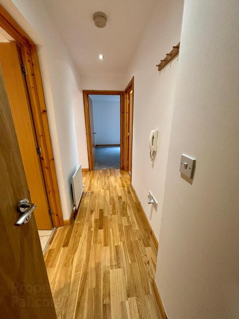 17 Shaftesbury Drive 18 of 20
