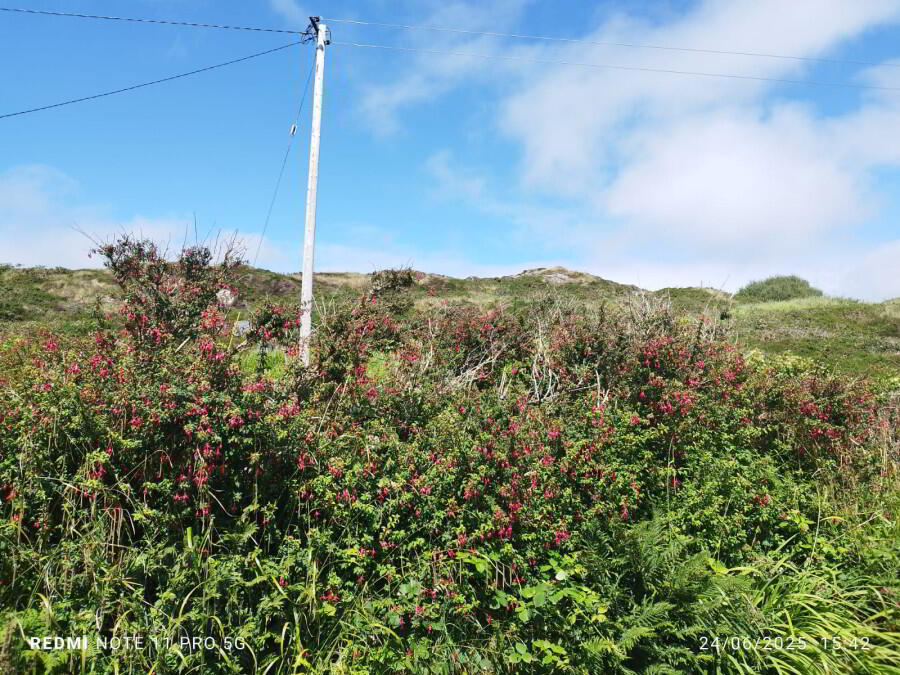 0.9 Hectares / 2 4 of 9