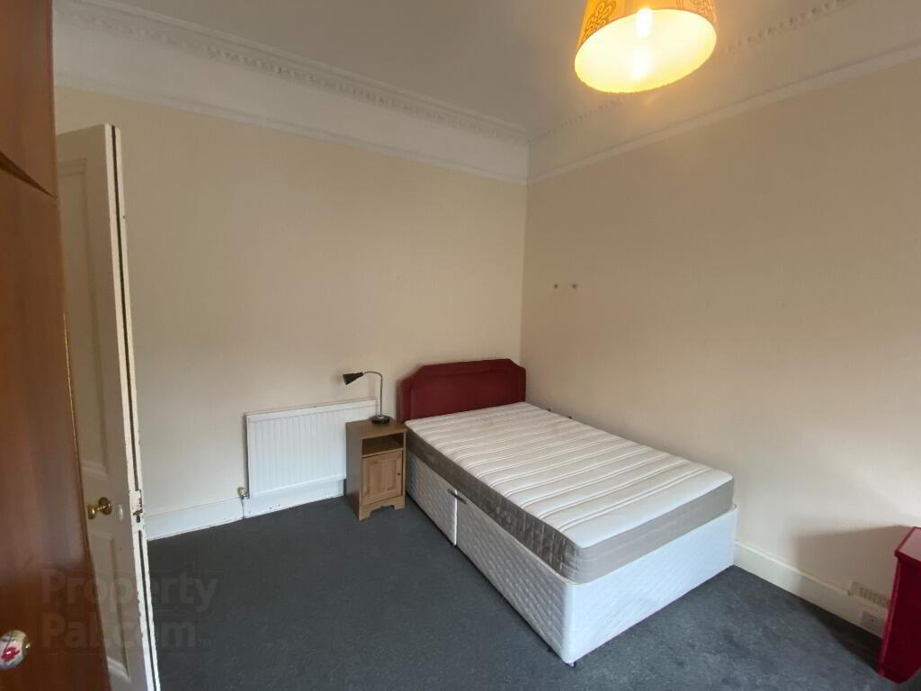 14 Arden Street 4 of 10