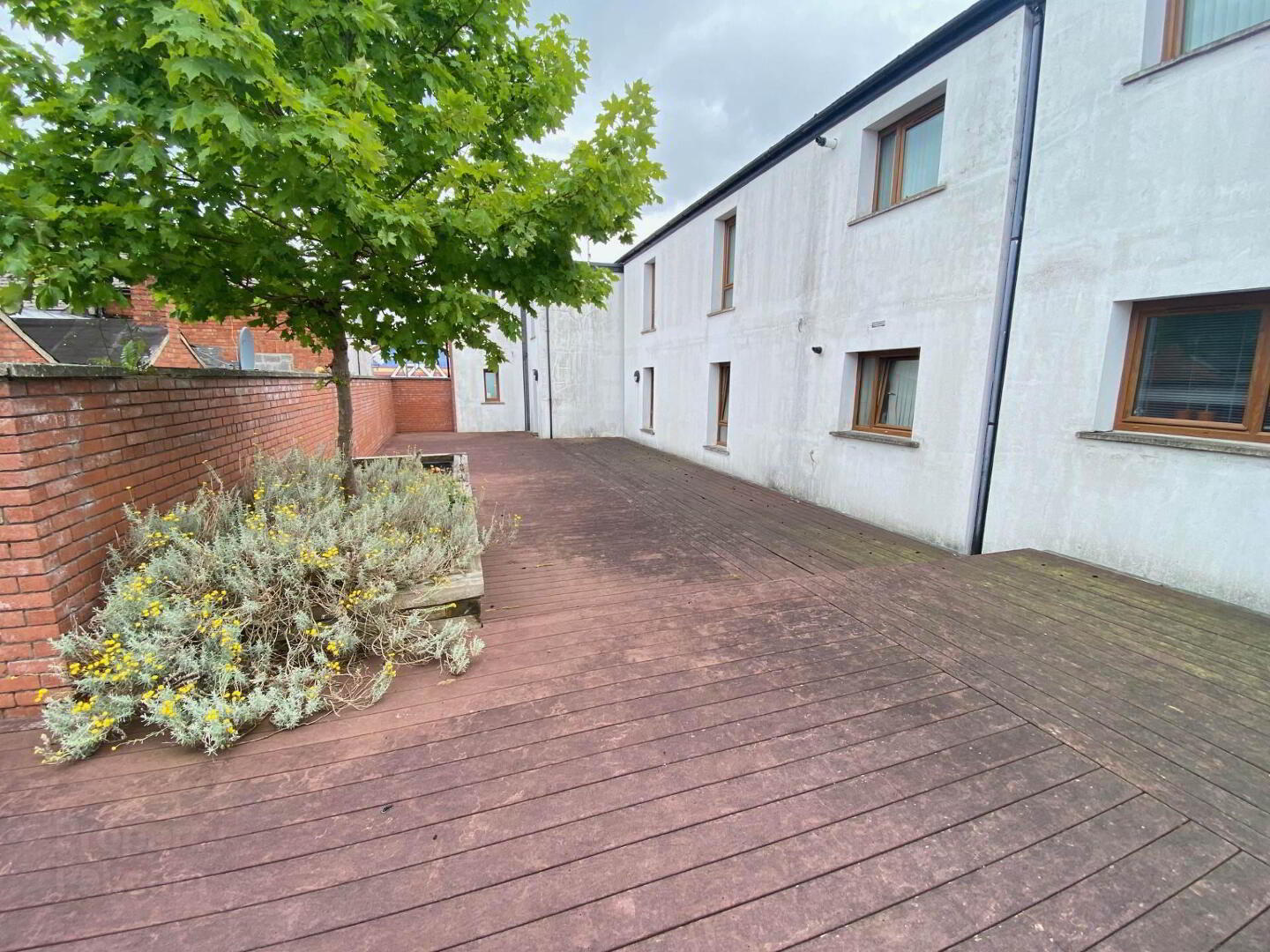 Apt 6 32, Chatsworth Street 12 of 12