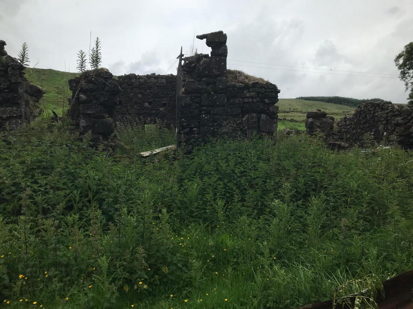 property description image