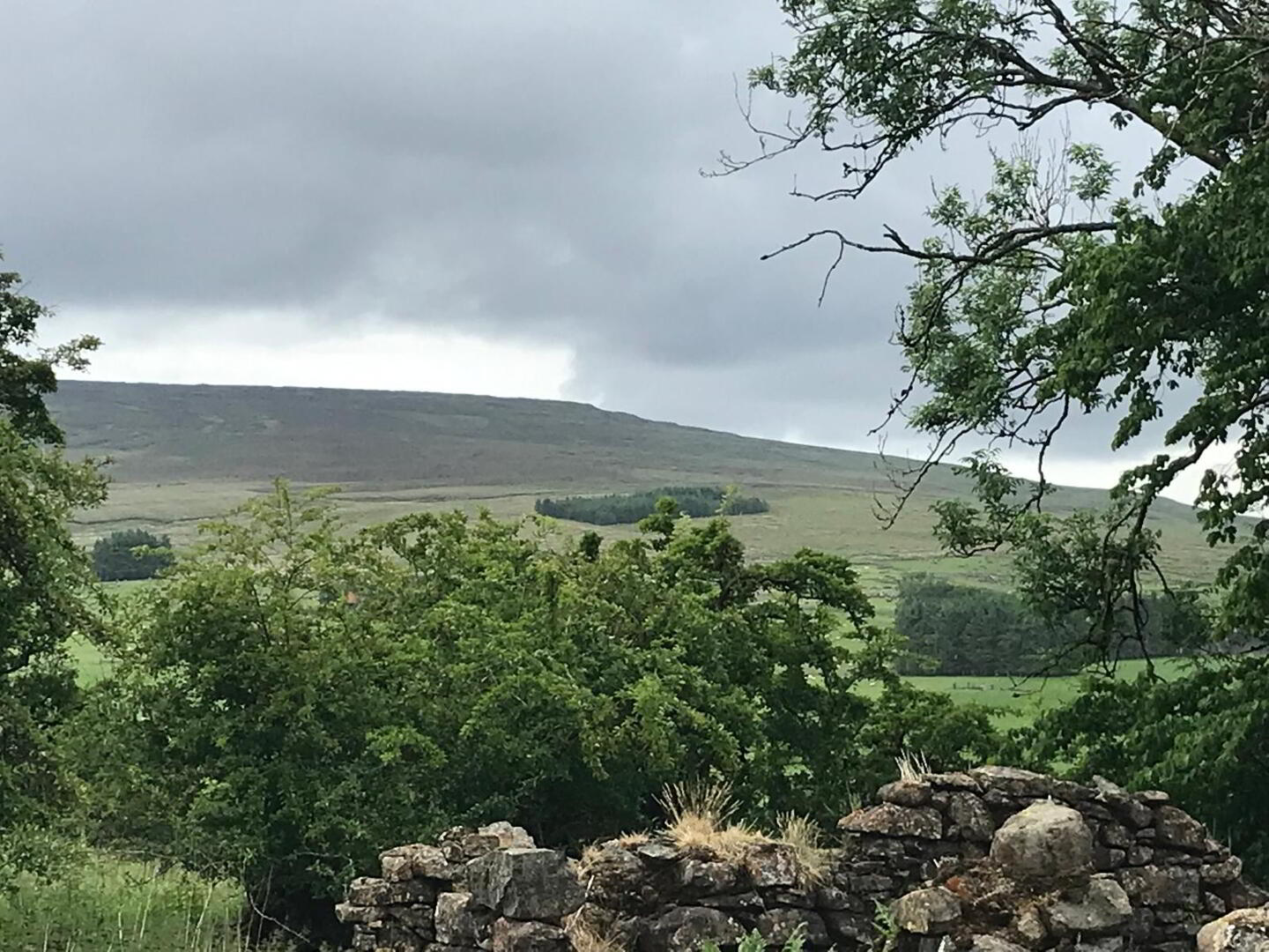 165m SW Of No 38, Old Cushendun Road 4 of 10