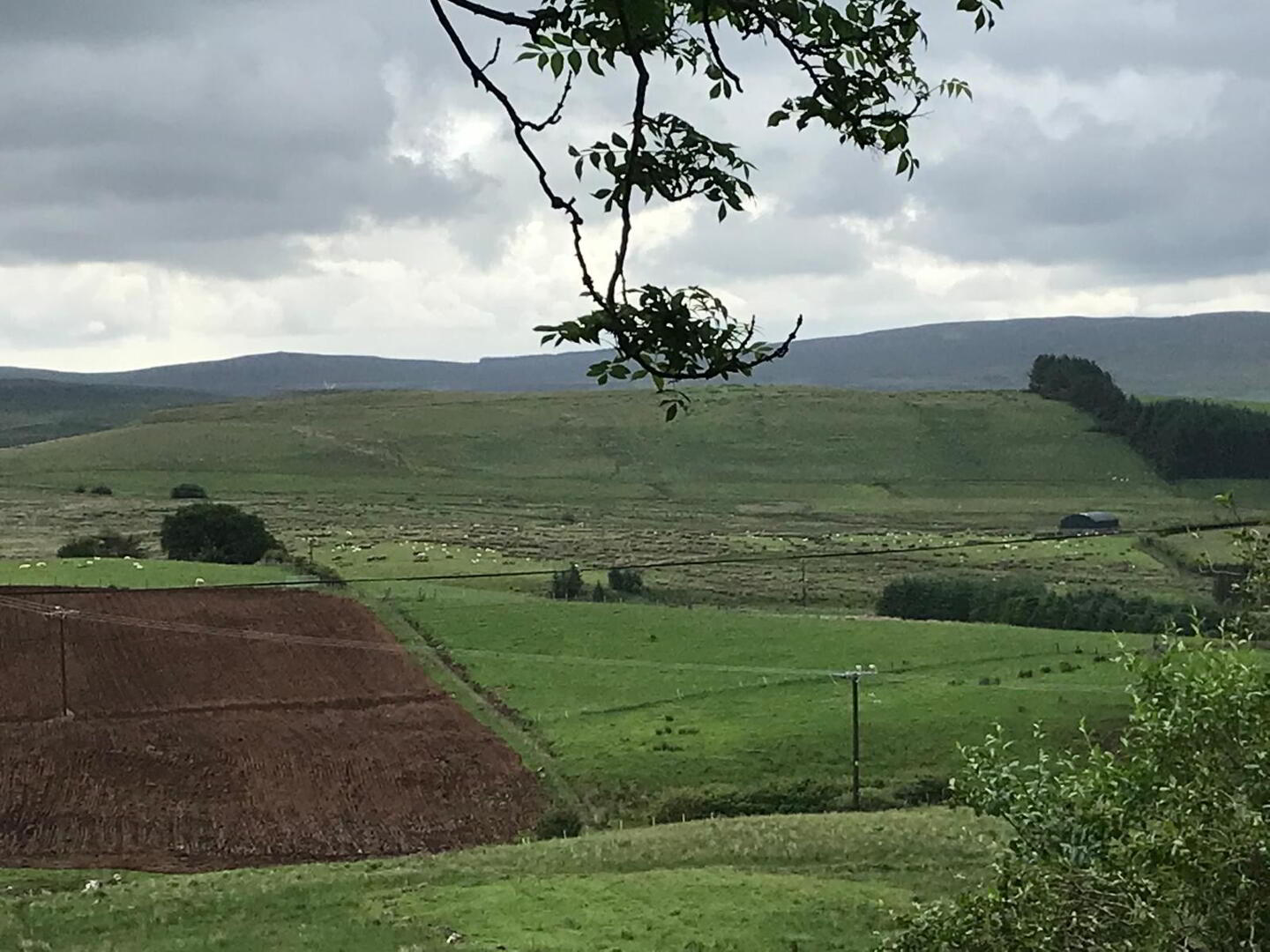 165m SW Of No 38, Old Cushendun Road 5 of 10