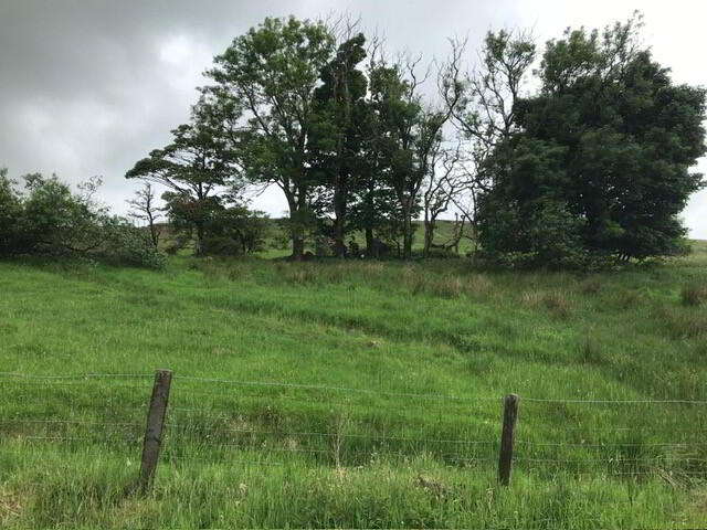 165m SW Of No 38, Old Cushendun Road 8 of 10