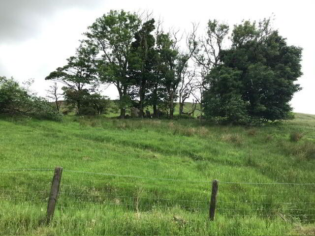 165m SW Of No 38, Old Cushendun Road 9 of 10