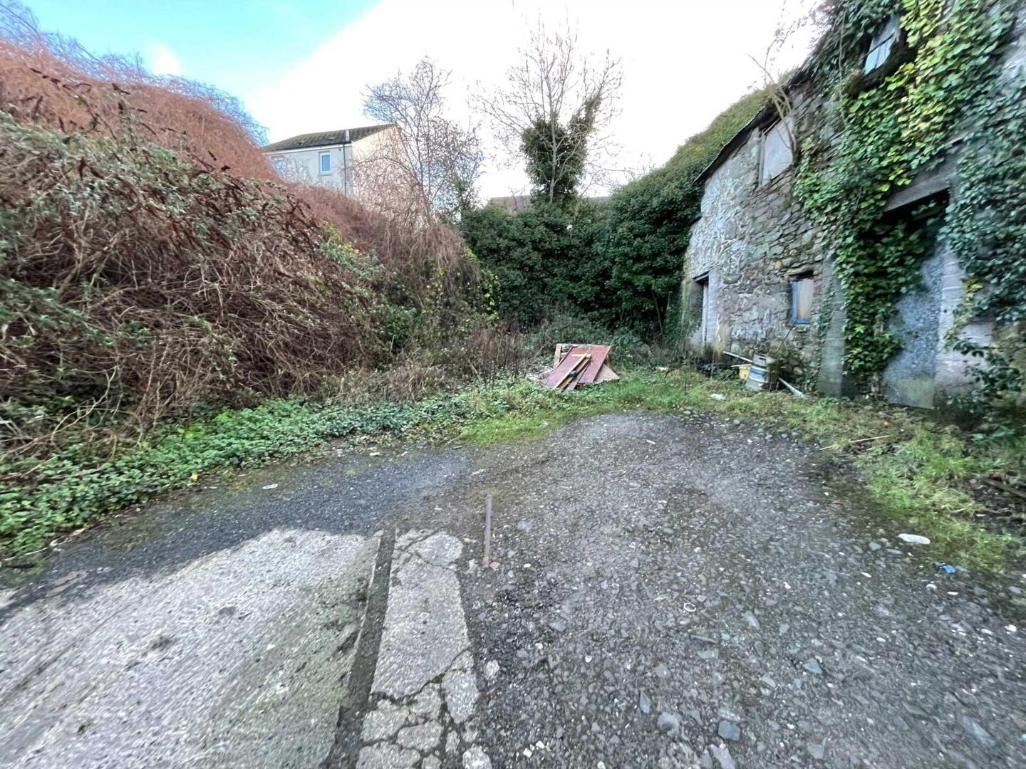 Development Opportunity 12 of 17