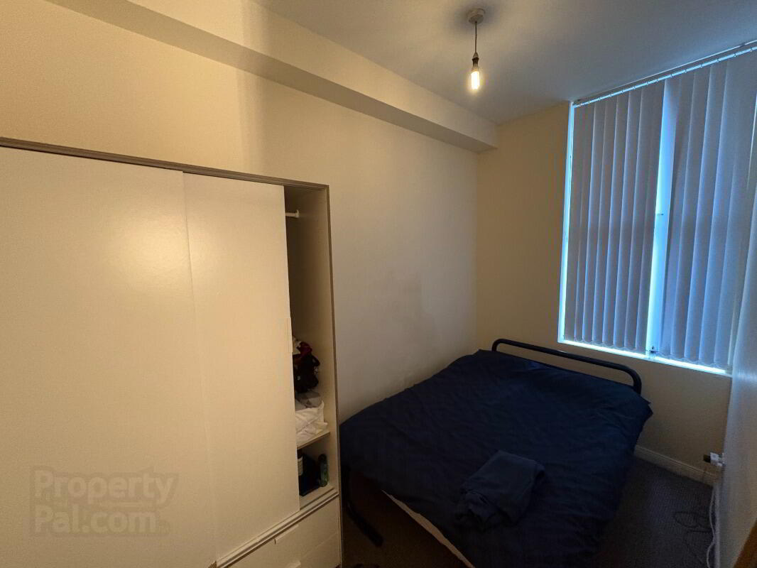 Apartment 1 103 Eglantine Avenue 3 of 8