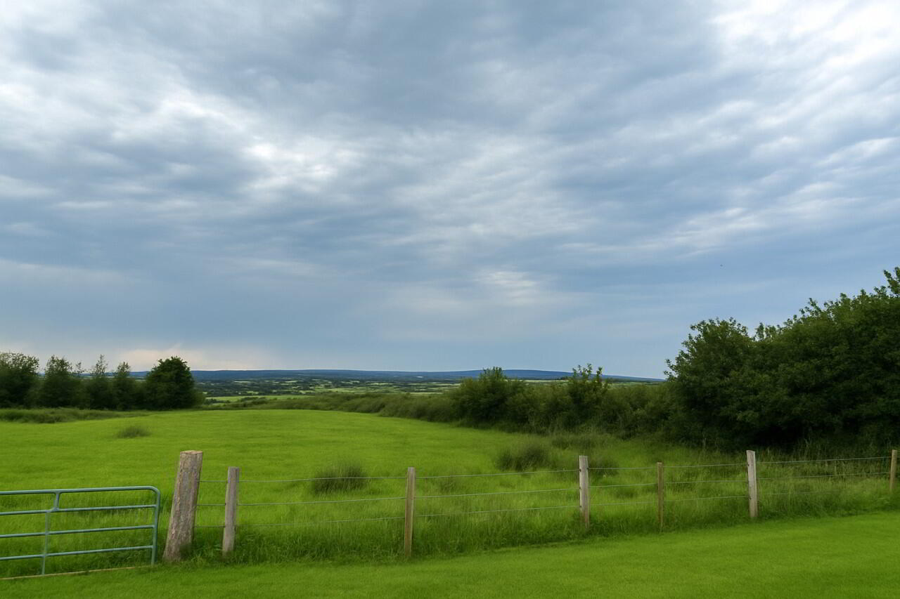property description image