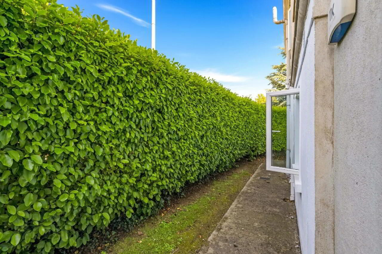 3 Fortune Court 17 of 19