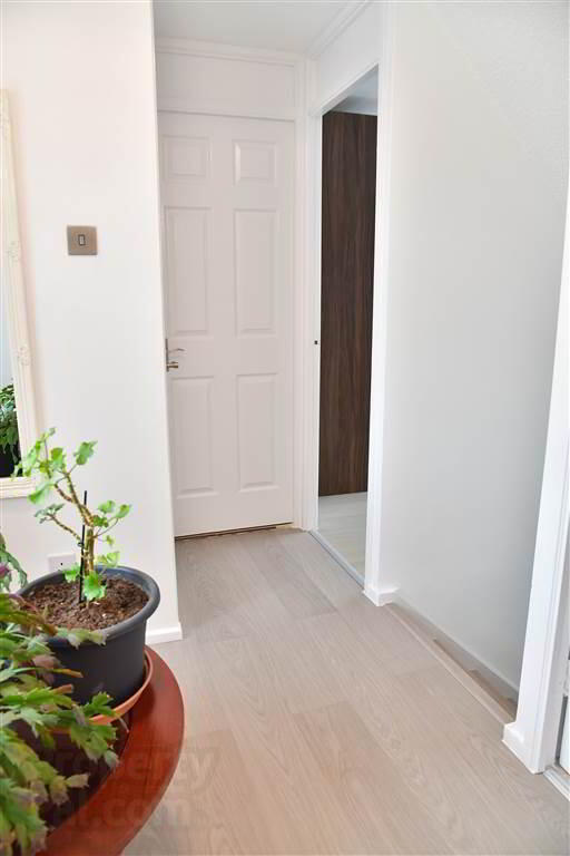 26 Larne Street 19 of 37