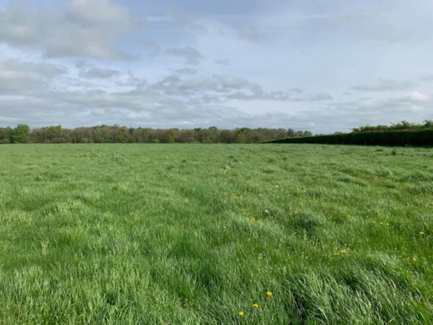 11 Acres, Millbrook 3 of 4