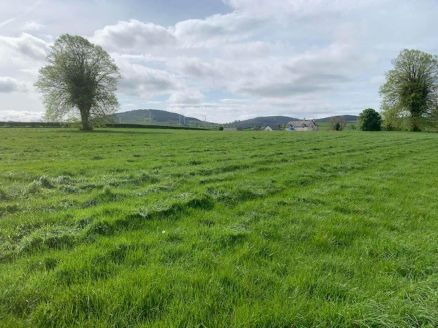 11 Acres, Millbrook 1 of 4
