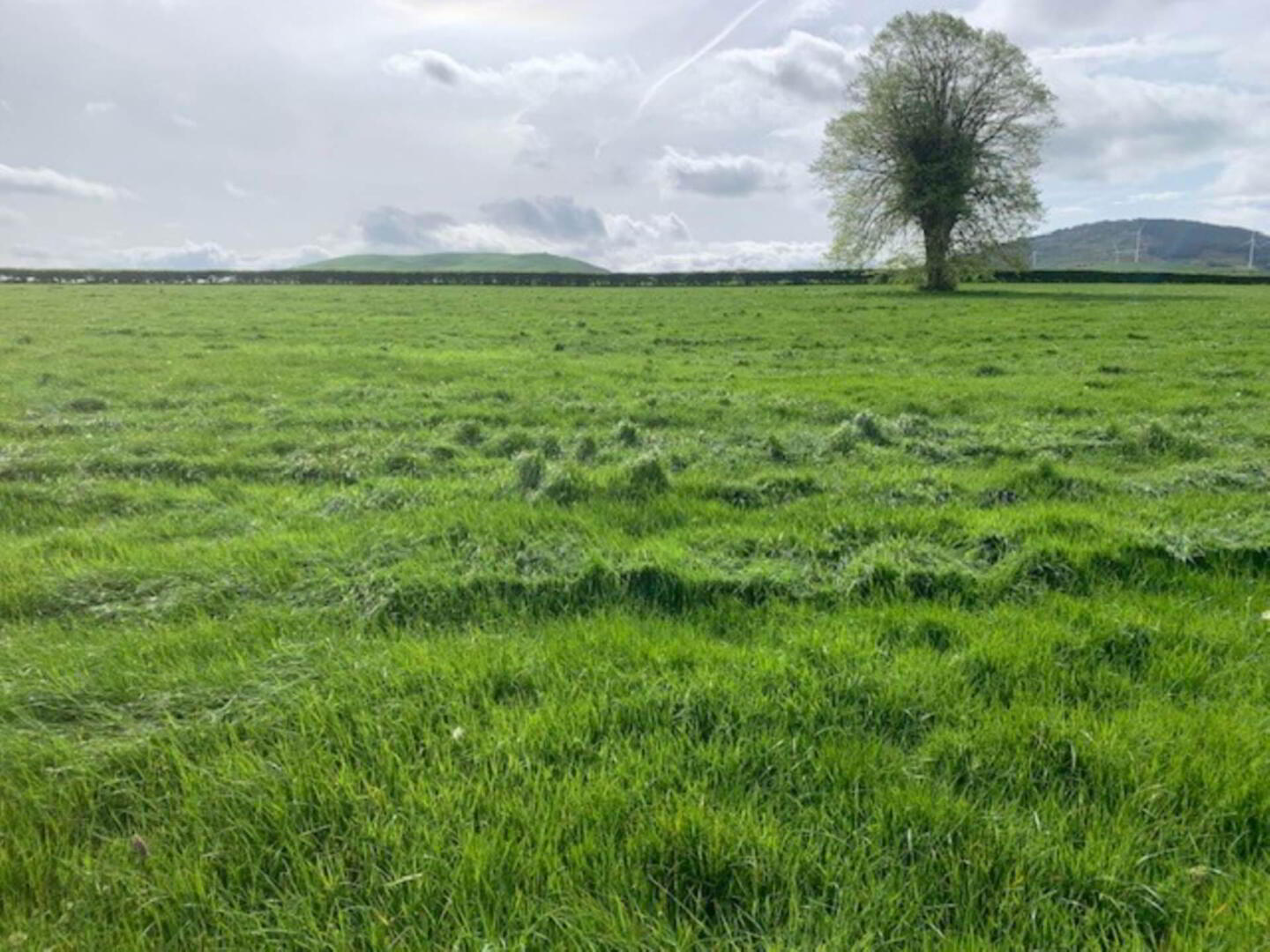 11 Acres, Millbrook 2 of 4