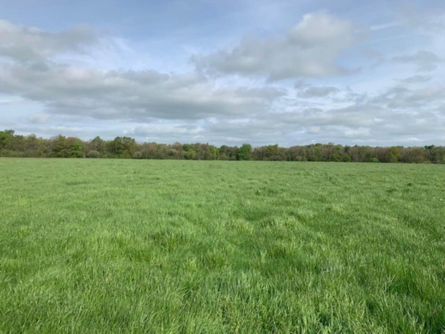 11 Acres, Millbrook 4 of 4