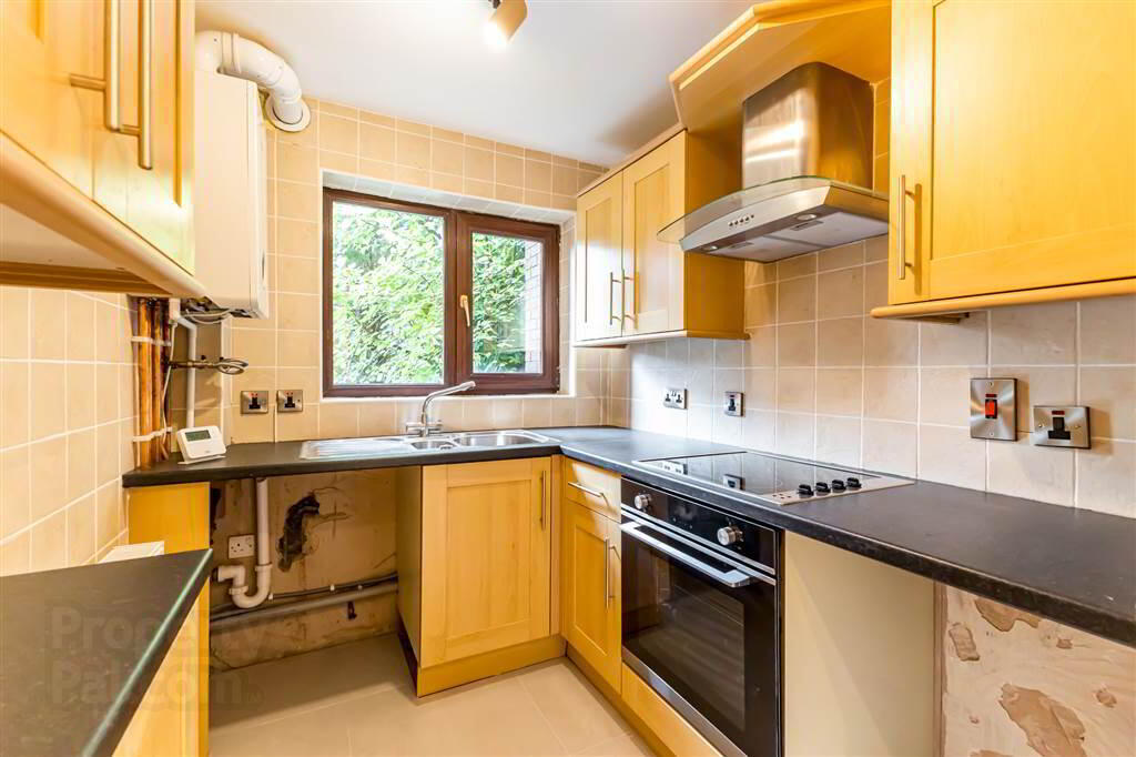 8c Stranmillis Court 7 of 17
