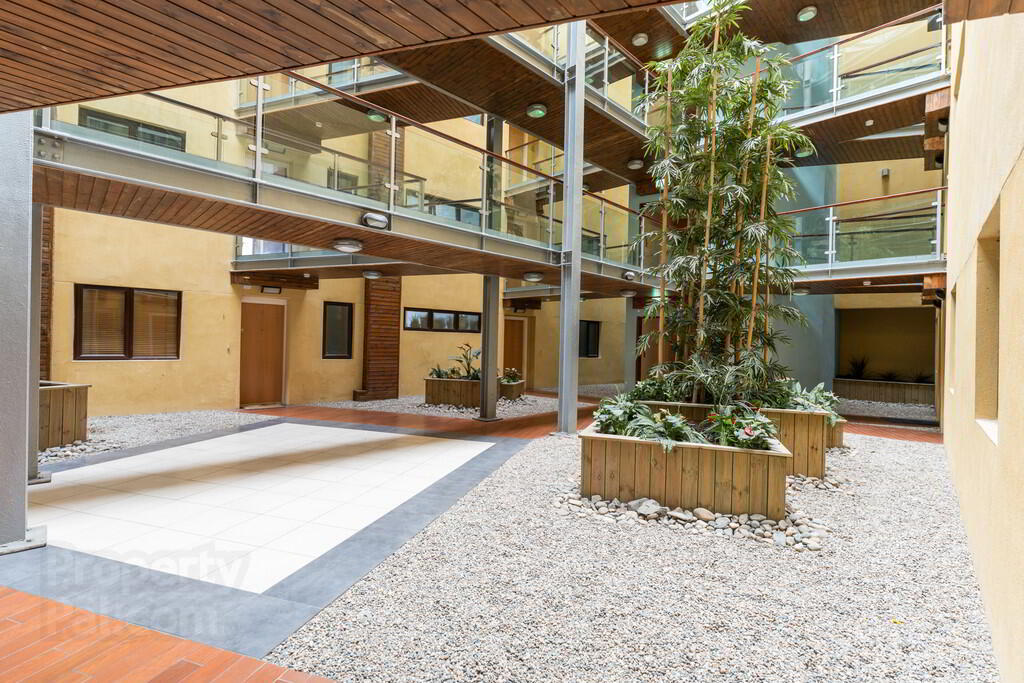 Apartment 5 Winter Gardens 34 Alfred Street 17 of 19