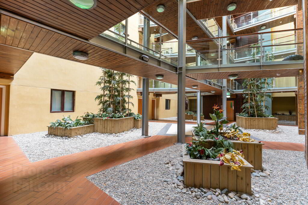 Apartment 5 Winter Gardens 34 Alfred Street 18 of 19