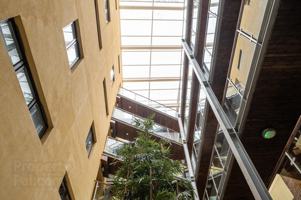Apartment 5 Winter Gardens 34 Alfred Street 19 of 19