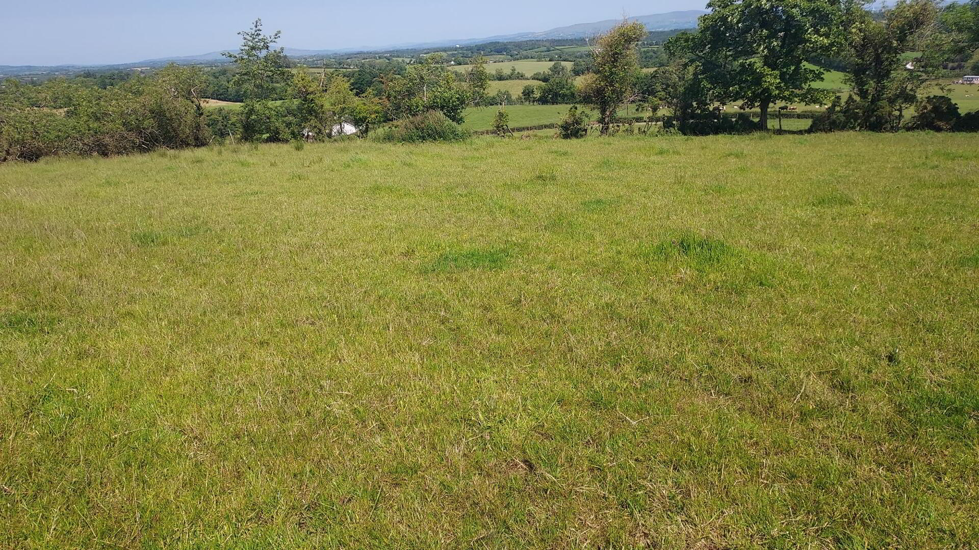 property description image
