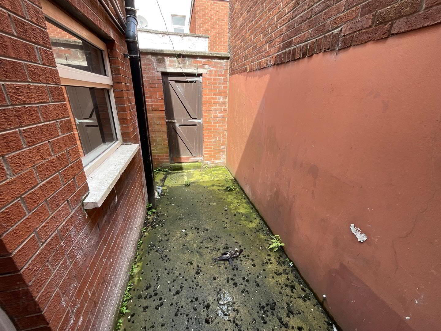 15 Eccles Street 9 of 9