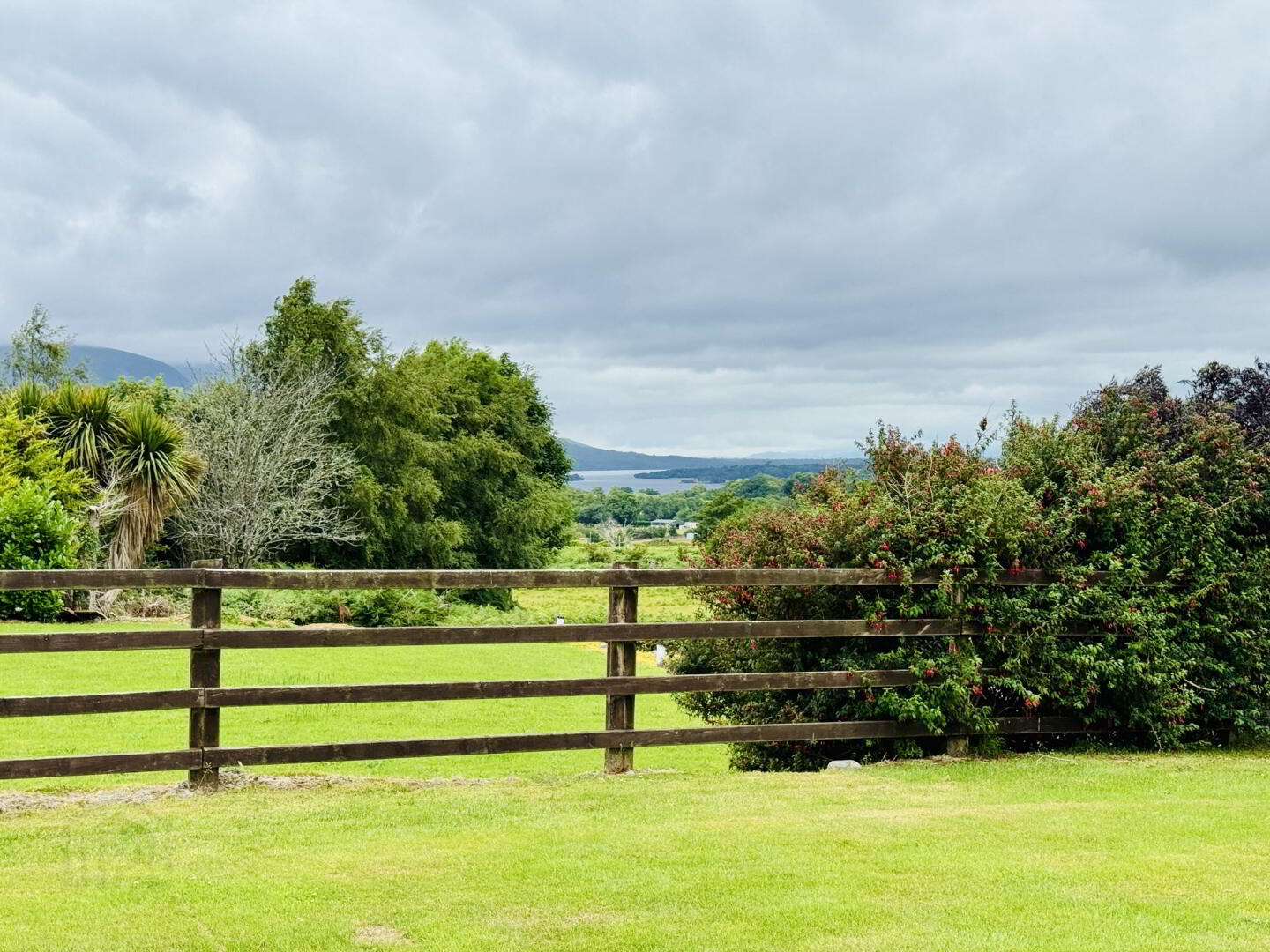 Gortagullane Muckross 14 of 39