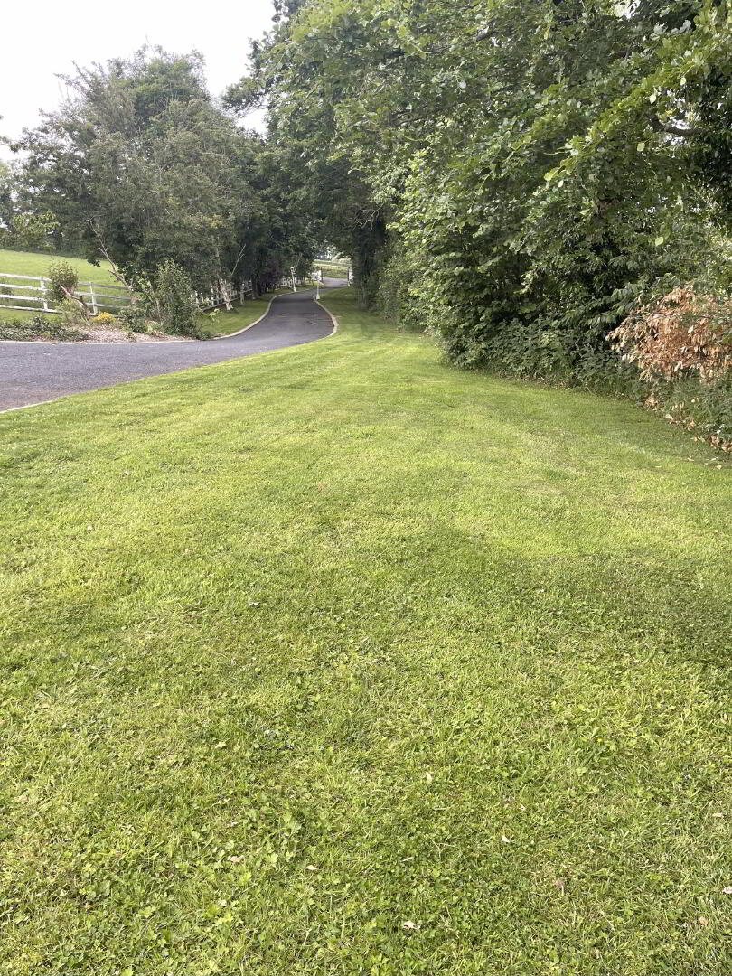 26 Taylorstown Road 24 of 27