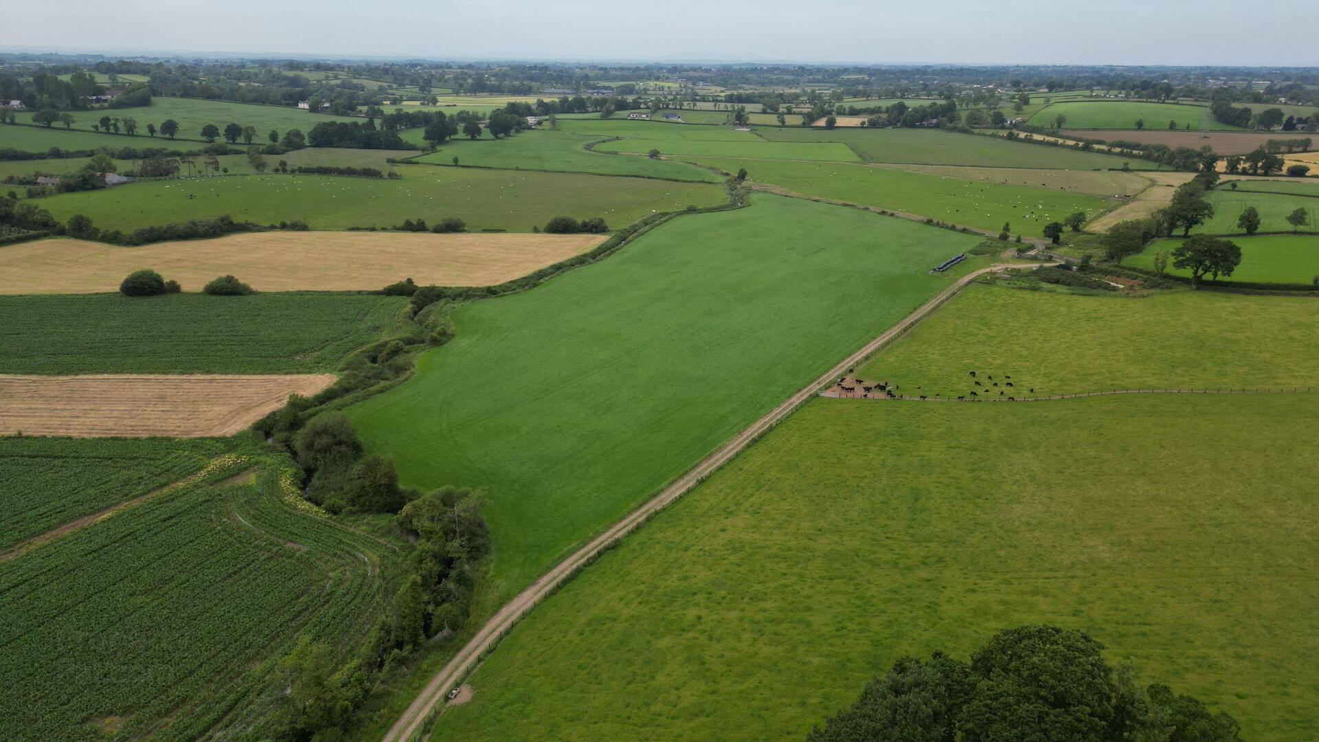 Lands At, Markethill Road 5 of 10