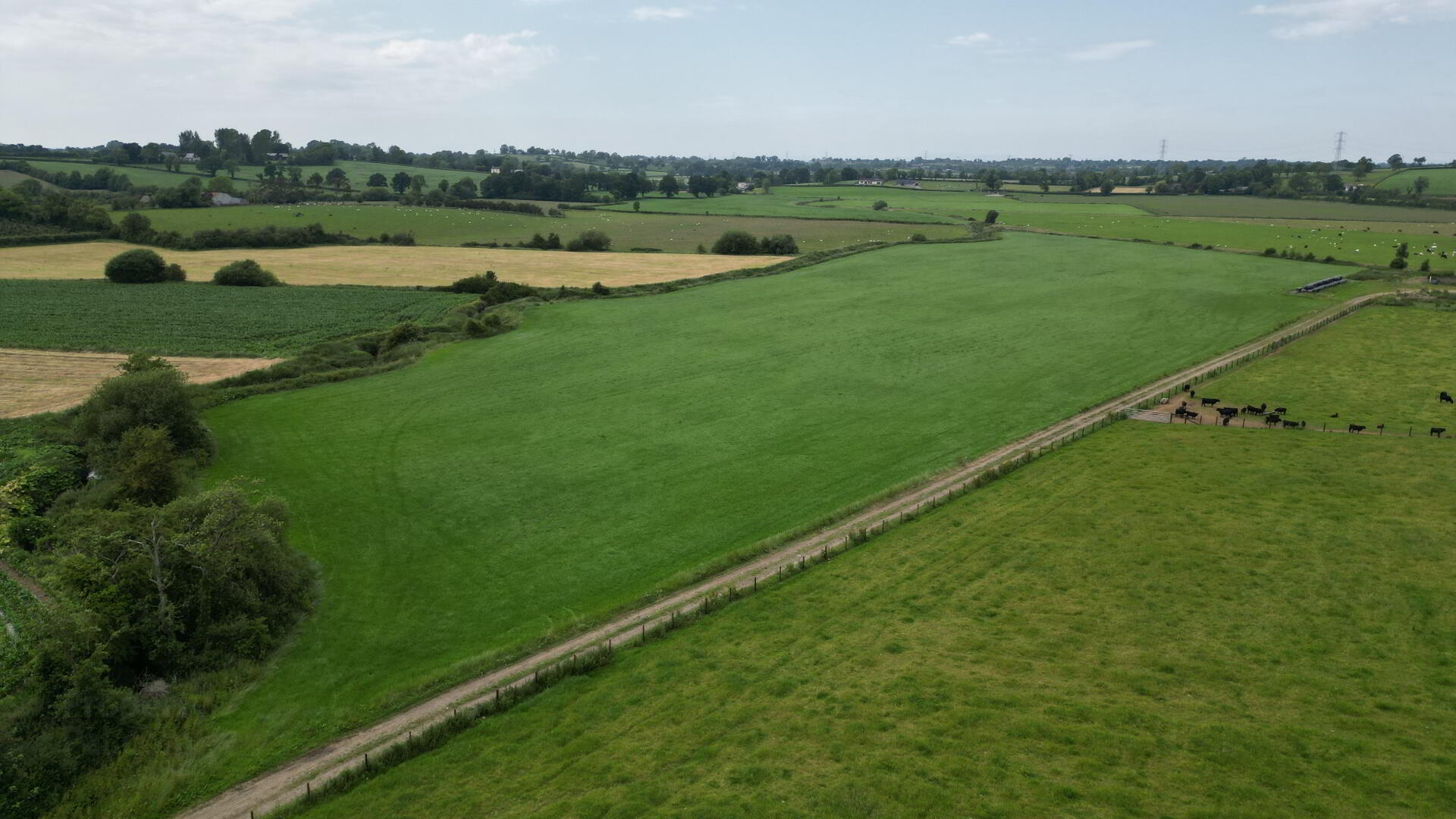 Lands At, Markethill Road 6 of 10