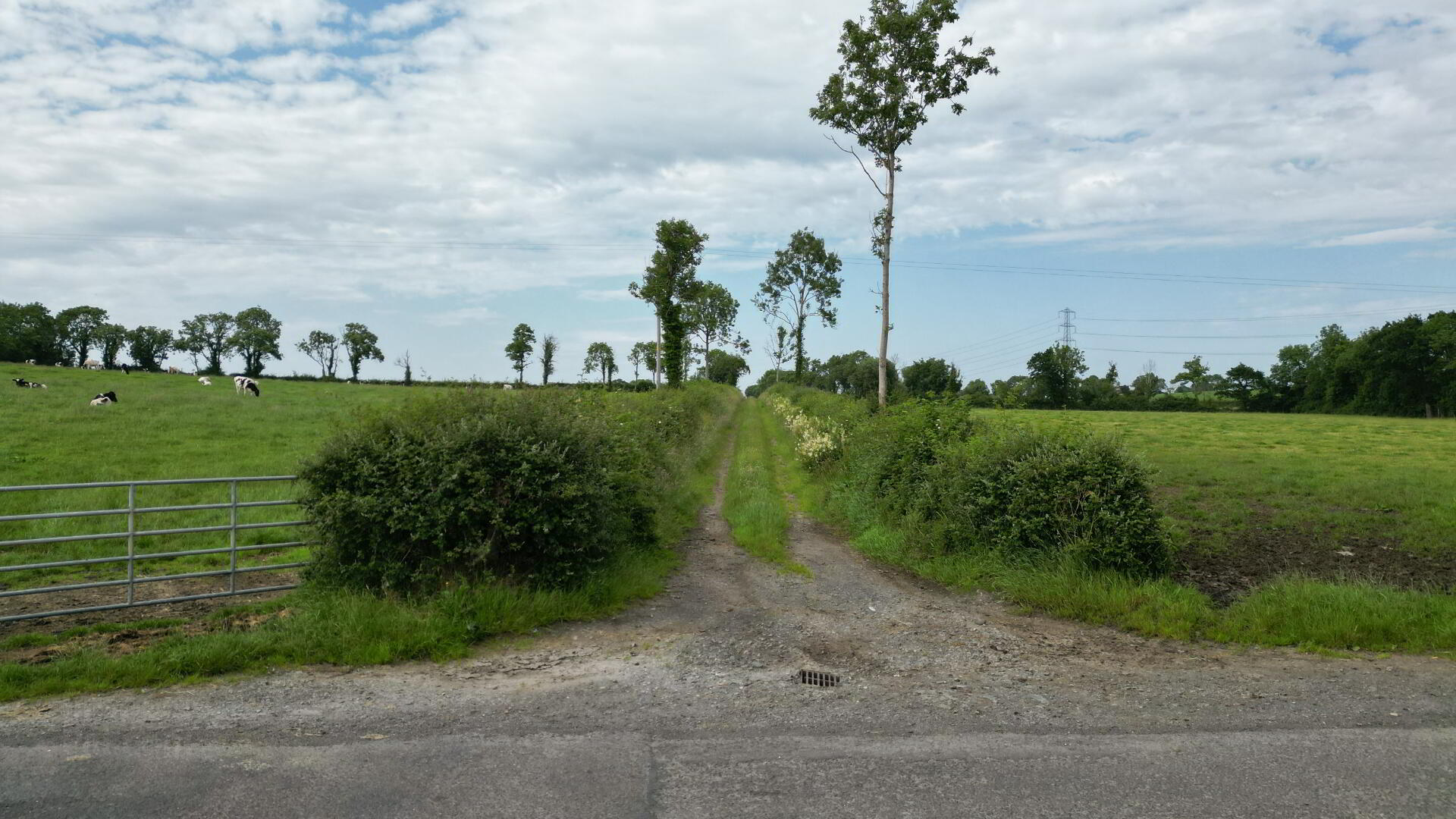 Lands At, Mullalelish Road 12 of 15