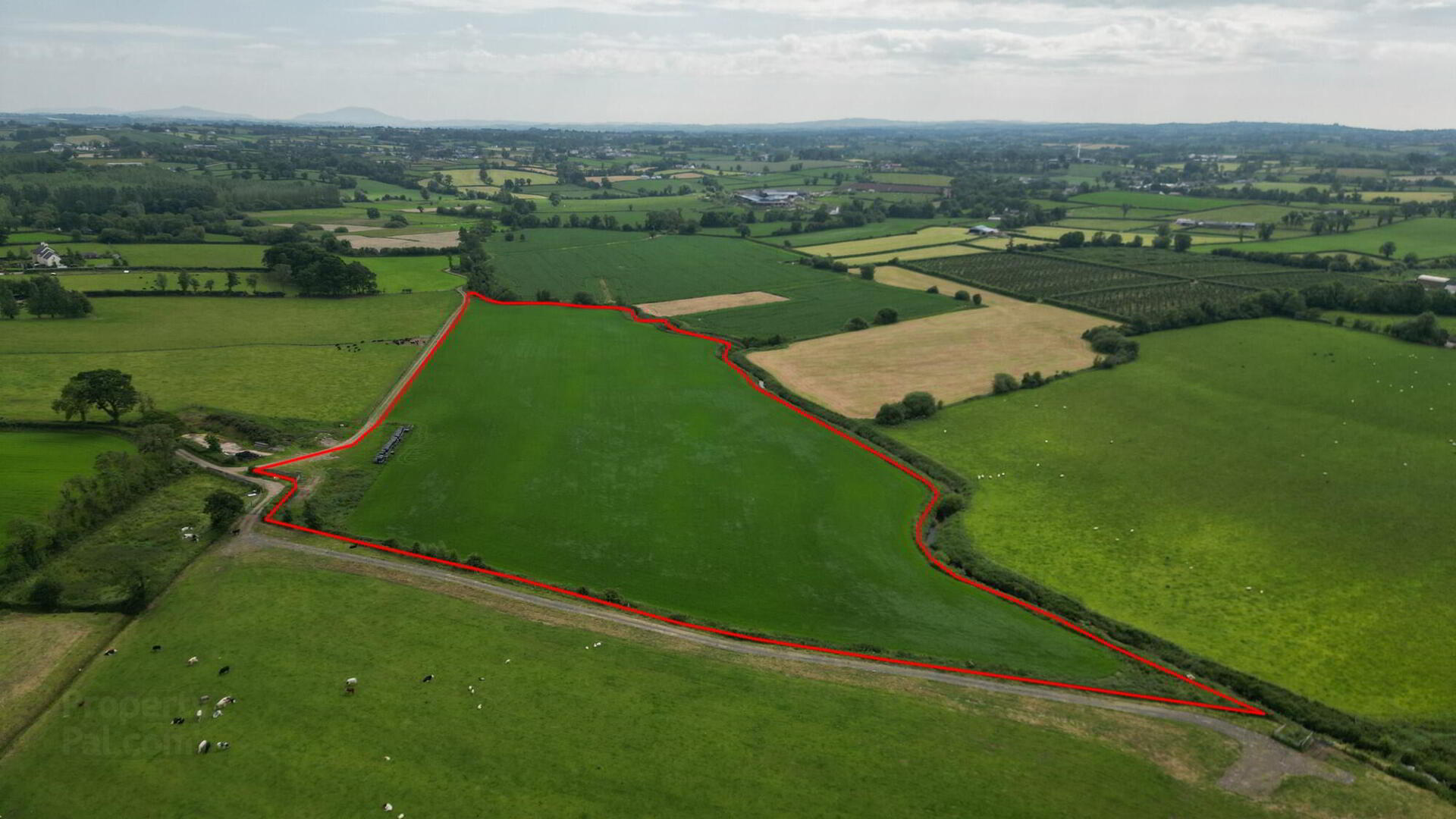 Markethill Road 3 of 7