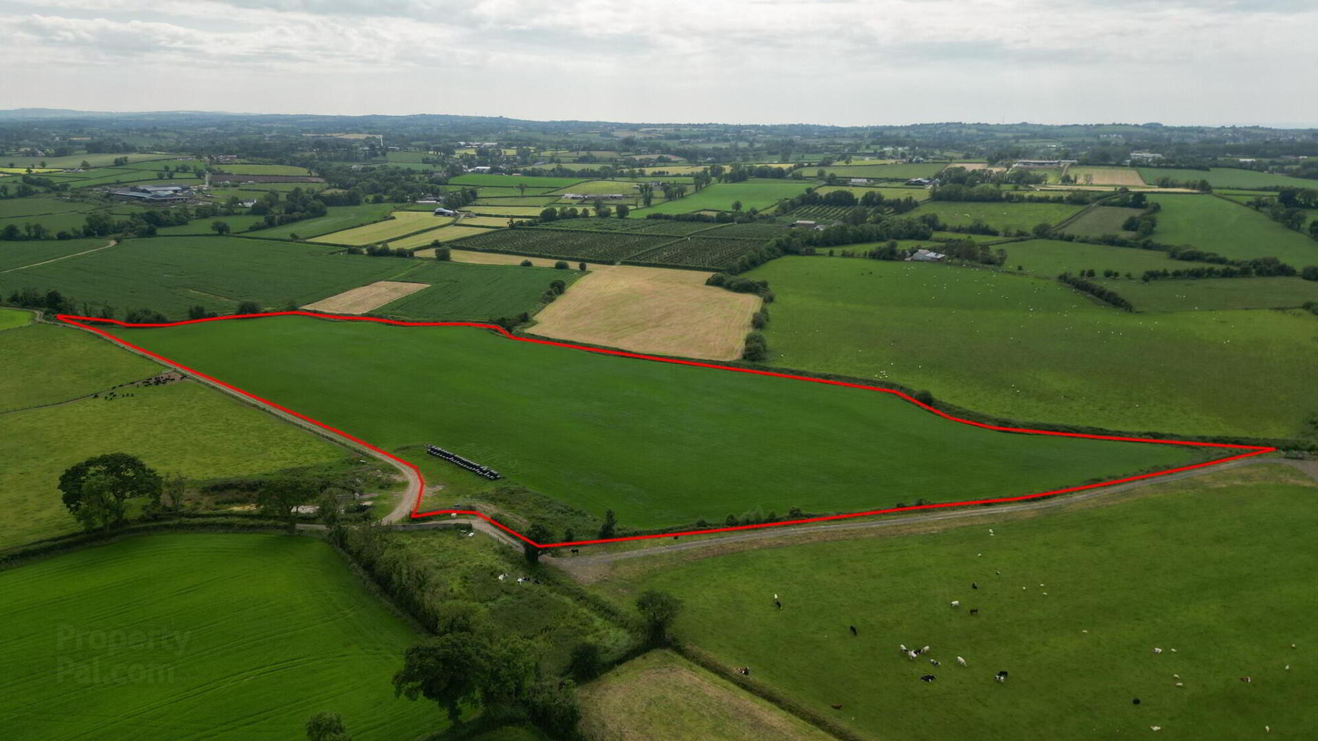 property description image