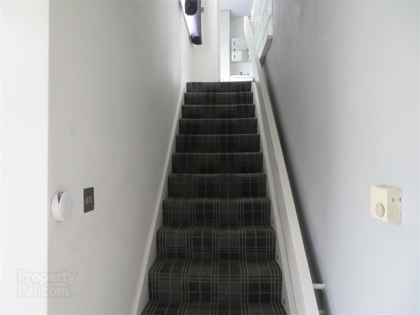 25 Braemar Avenue 4 of 14