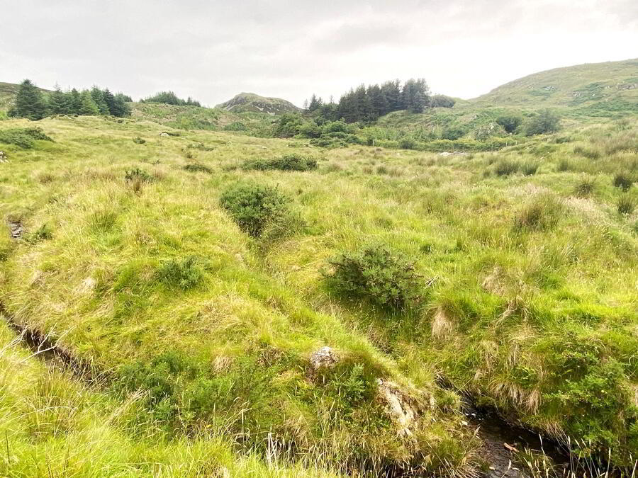 Glenalla 20 of 24