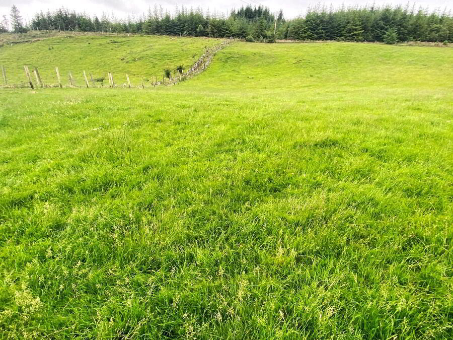 Glenalla 19 of 24