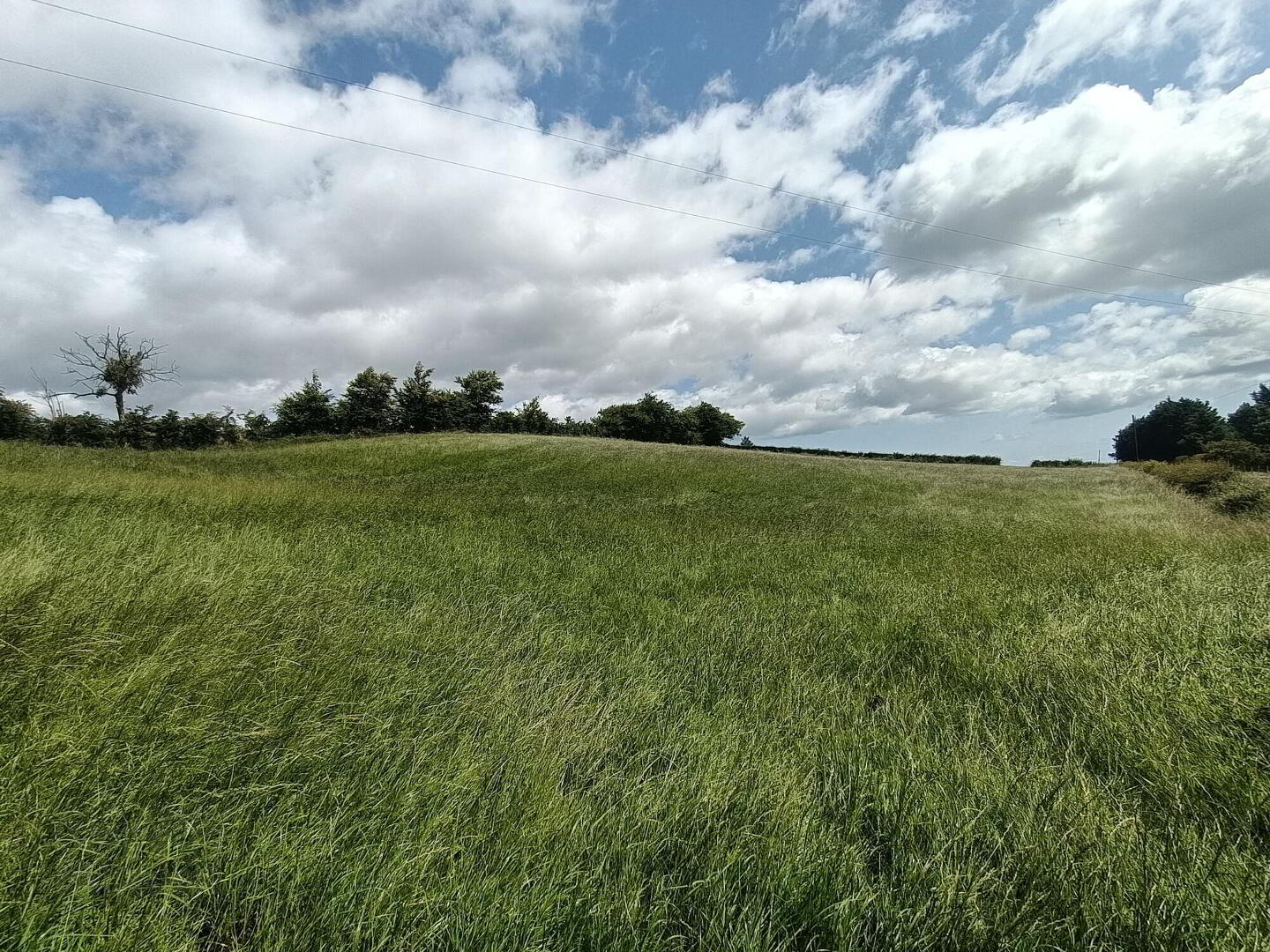 property description image