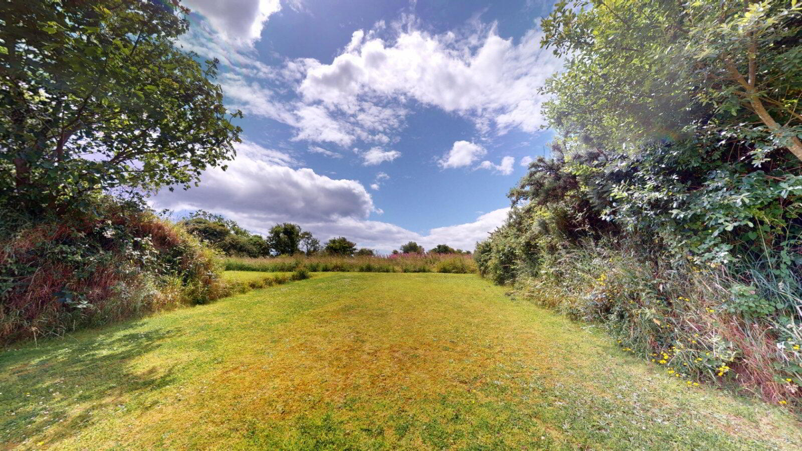 Clonmines 55 of 60