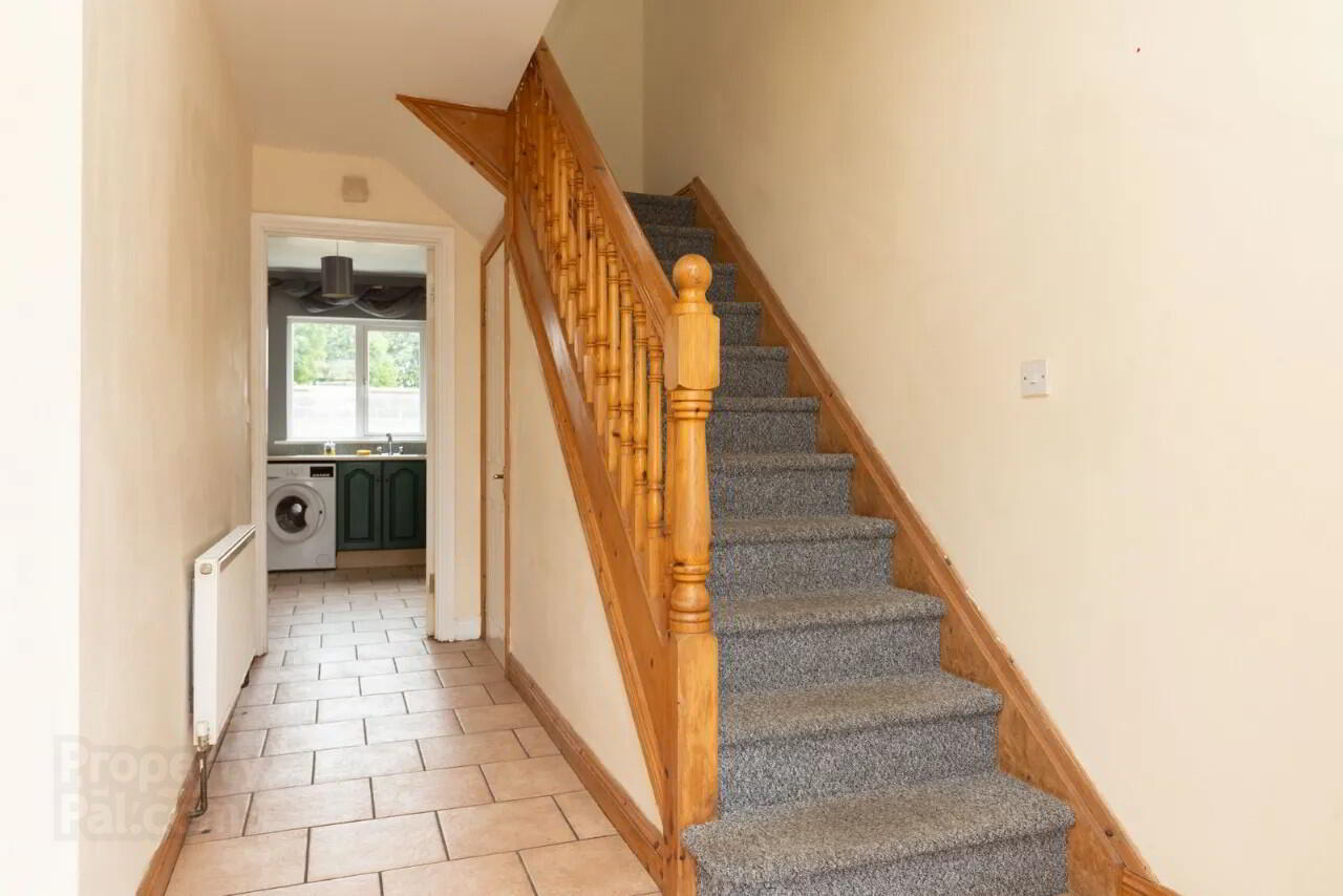 87 Belvedere Hills 19 of 35