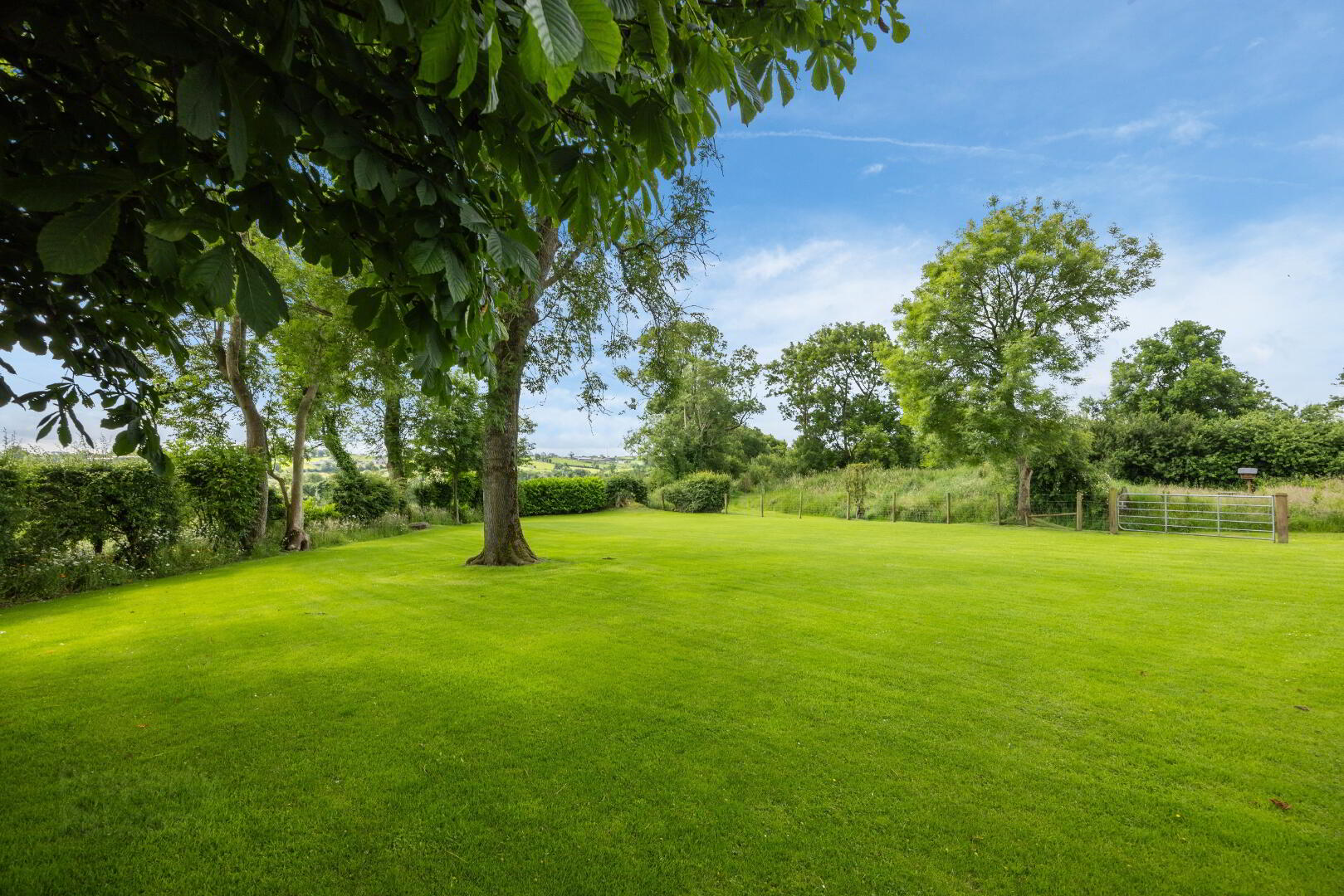 Clover Hill, 91 Killysorrell Road 5 of 35