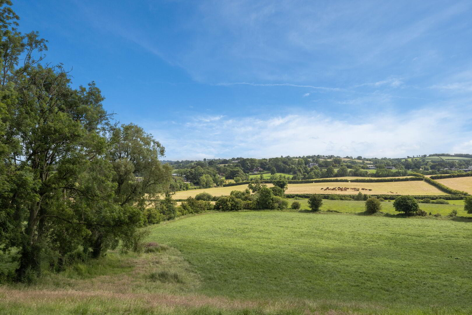Clover Hill, 91 Killysorrell Road 34 of 35
