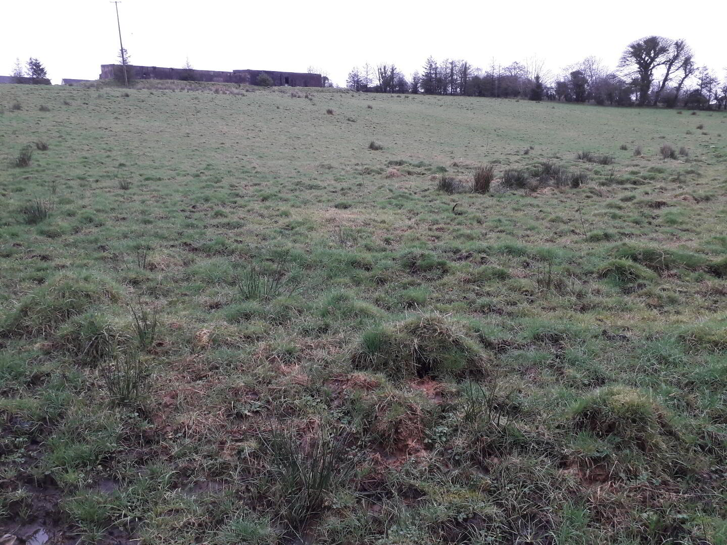 property description image