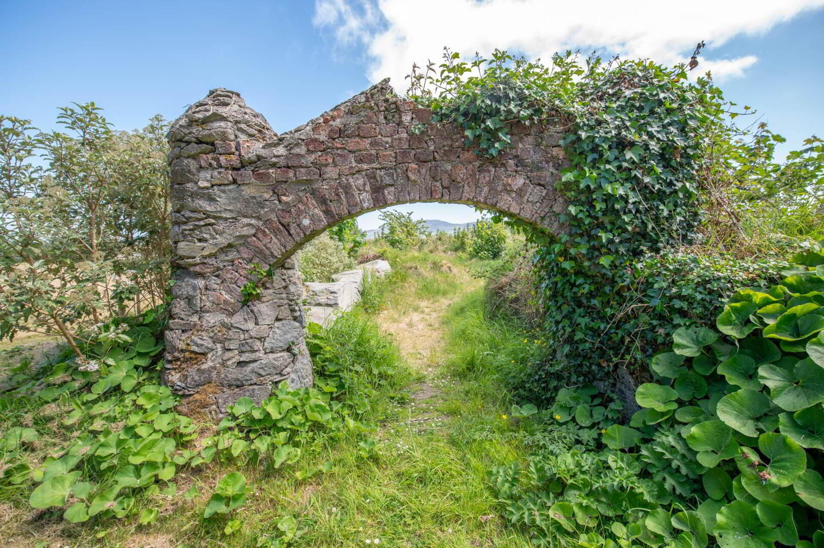 Fort Royal 82 of 89