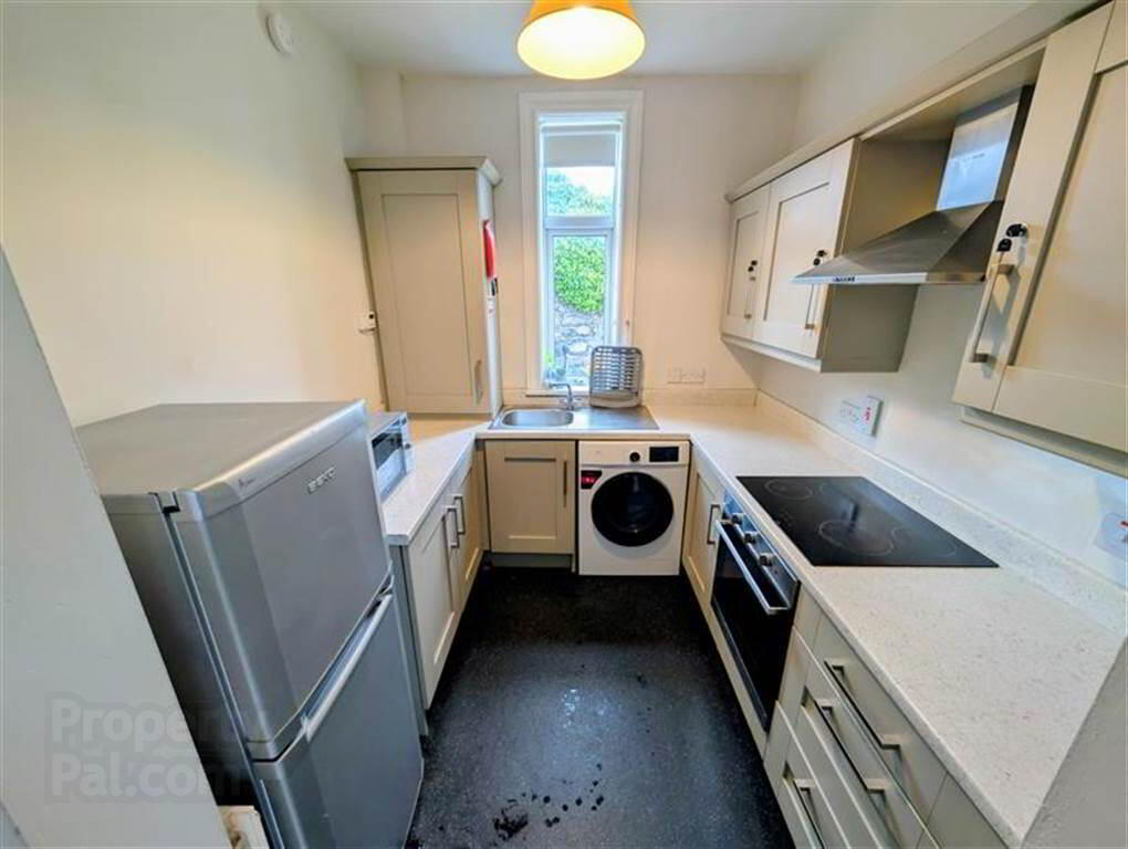 8 Stranmillis Road 6 of 13