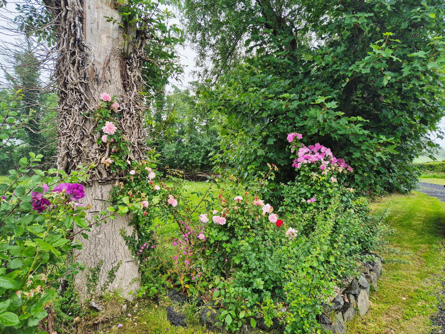 Plum Tree Cottage, 55 Newbridge Road 40 of 40