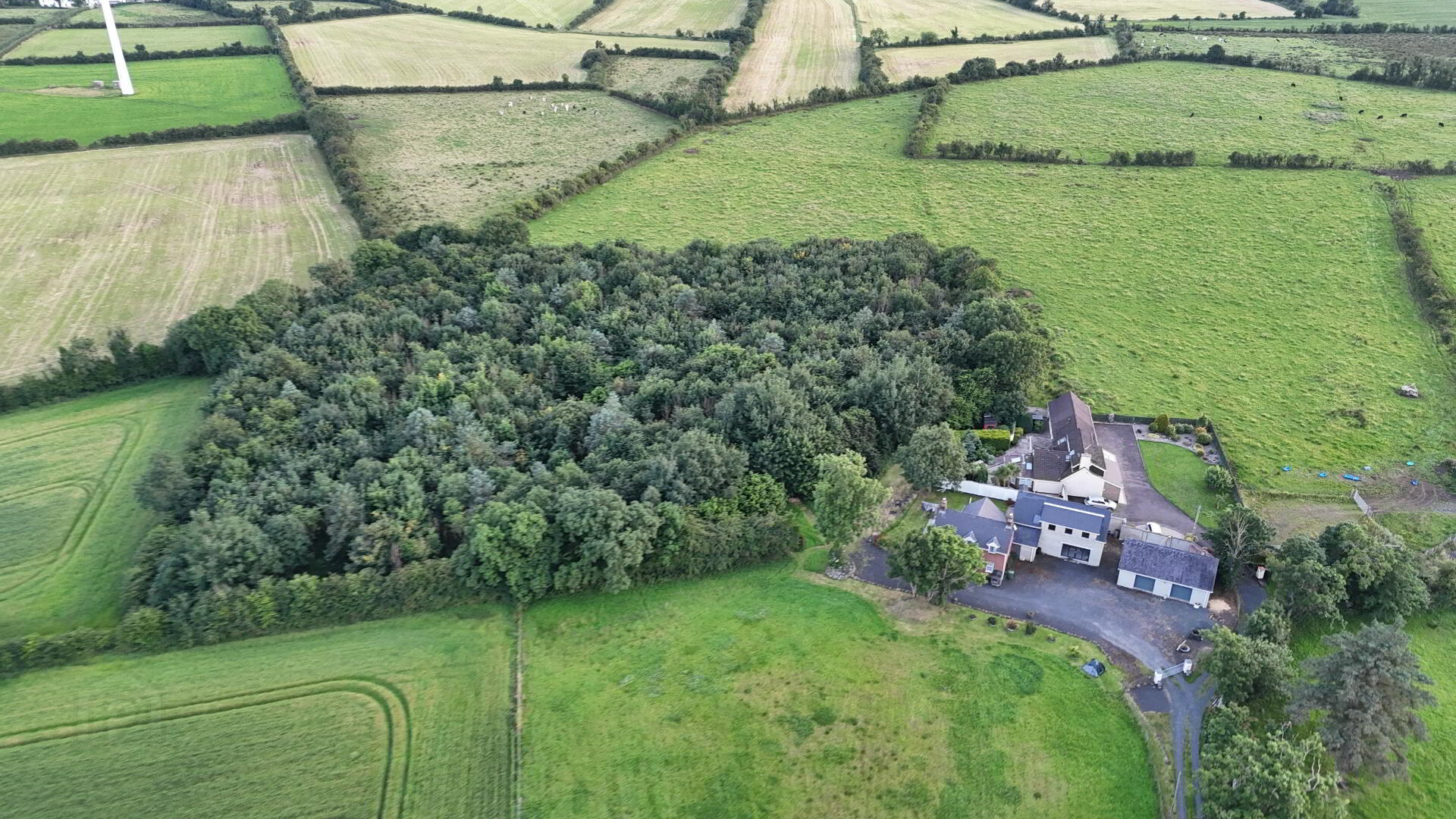 Plum Tree Cottage, 55 Newbridge Road 44 of 49
