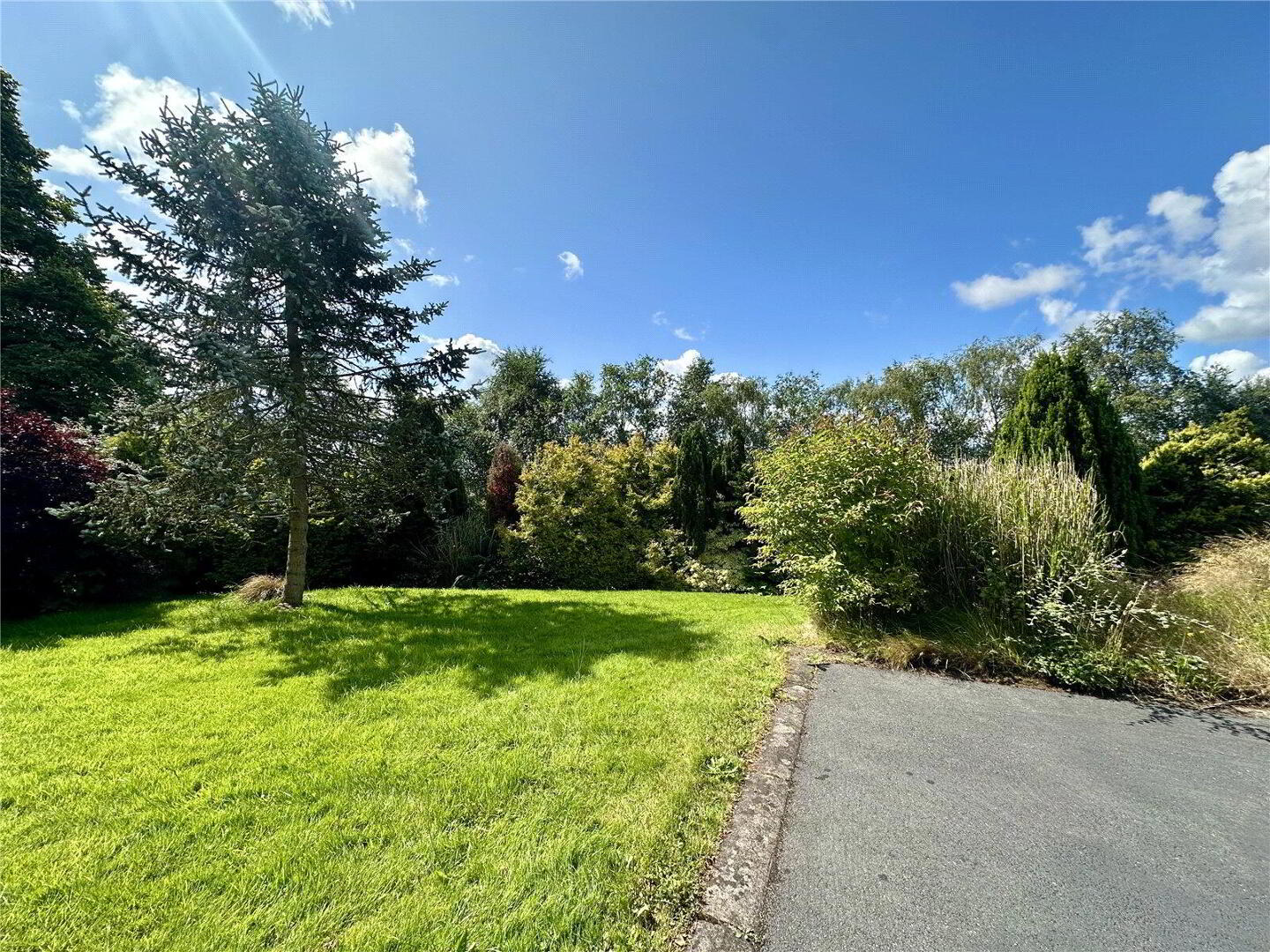13 Killyneill Road 3 of 21